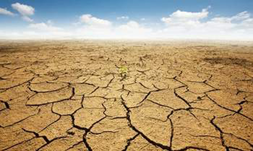 Desertification Picture
